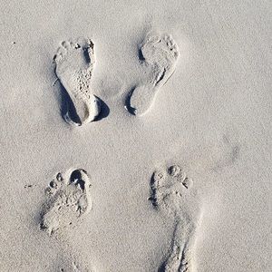 Meet your Posher, Angel